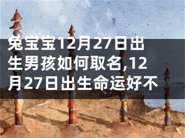 兔宝宝12月27日出生男孩如何取名,12月27日出生命运好不