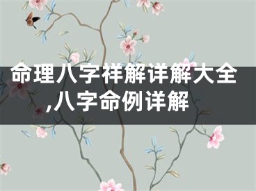 命理八字祥解详解大全,八字命例详解
