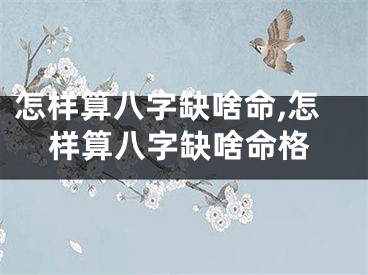 怎样算八字缺啥命,怎样算八字缺啥命格
