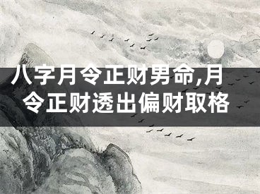 八字月令正财男命,月令正财透出偏财取格