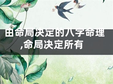 由命局决定的八字命理,命局决定所有