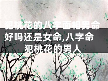 犯桃花的八字面相男命好吗还是女命,八字命犯桃花的男人