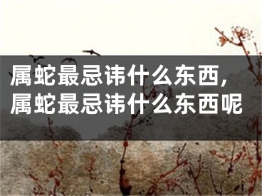 属蛇最忌讳什么东西,属蛇最忌讳什么东西呢