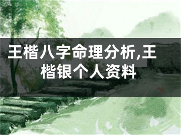 王楷八字命理分析,王楷银个人资料