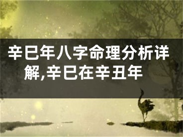 辛巳年八字命理分析详解,辛巳在辛丑年