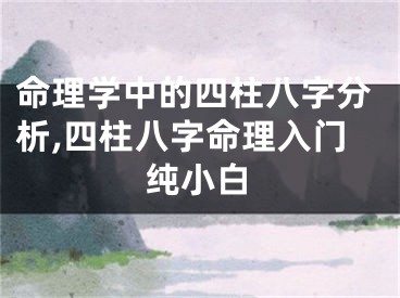 命理学中的四柱八字分析,四柱八字命理入门纯小白