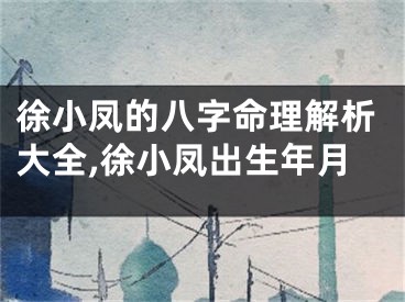 徐小凤的八字命理解析大全,徐小凤出生年月