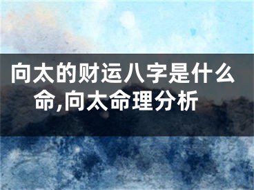 向太的财运八字是什么命,向太命理分析