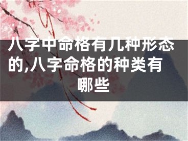 八字中命格有几种形态的,八字命格的种类有哪些
