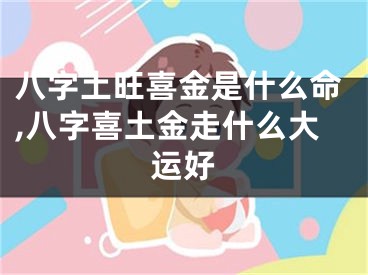 八字土旺喜金是什么命,八字喜土金走什么大运好
