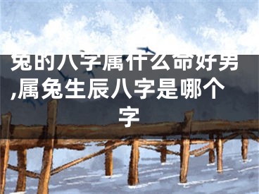 兔的八字属什么命好男,属兔生辰八字是哪个字