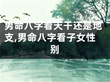 男命八字看天干还是地支,男命八字看子女性别