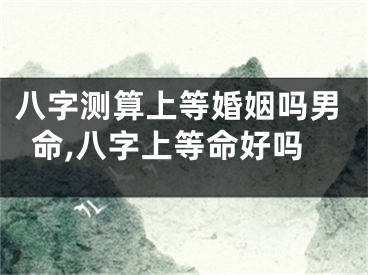 八字测算上等婚姻吗男命,八字上等命好吗