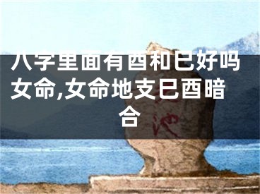 八字里面有酉和巳好吗女命,女命地支巳酉暗合