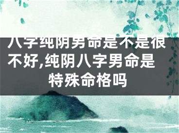八字纯阴男命是不是很不好,纯阴八字男命是特殊命格吗