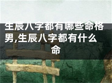 生辰八字都有哪些命格男,生辰八字都有什么命