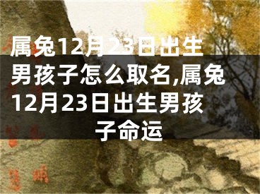 属兔12月23日出生男孩子怎么取名,属兔12月23日出生男孩子命运