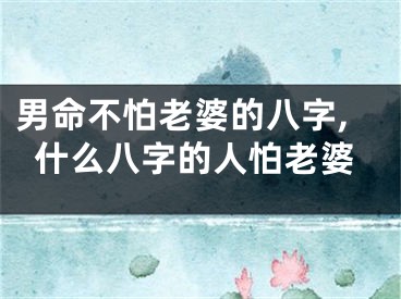 男命不怕老婆的八字,什么八字的人怕老婆