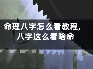 命理八字怎么看教程,八字这么看啥命