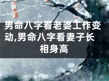 男命八字看老婆工作变动,男命八字看妻子长相身高