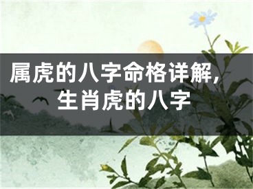 属虎的八字命格详解,生肖虎的八字