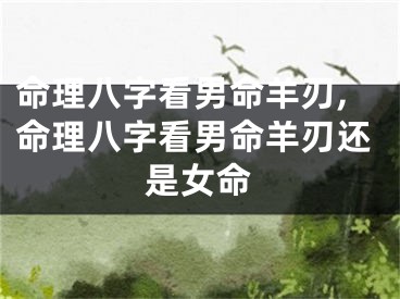 命理八字看男命羊刃,命理八字看男命羊刃还是女命