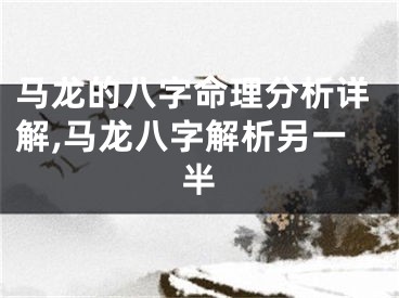 马龙的八字命理分析详解,马龙八字解析另一半