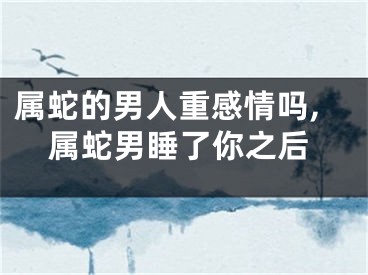 属蛇的男人重感情吗,属蛇男睡了你之后