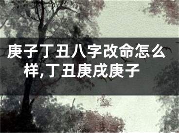 庚子丁丑八字改命怎么样,丁丑庚戌庚子