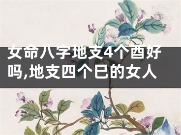 女命八字地支4个酉好吗,地支四个巳的女人