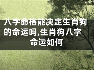 八字命格能决定生肖狗的命运吗,生肖狗八字命运如何