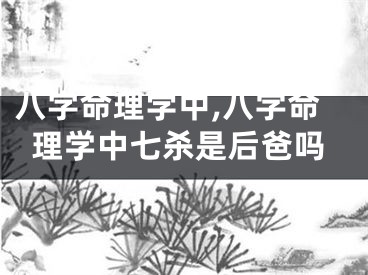 八字命理学中,八字命理学中七杀是后爸吗