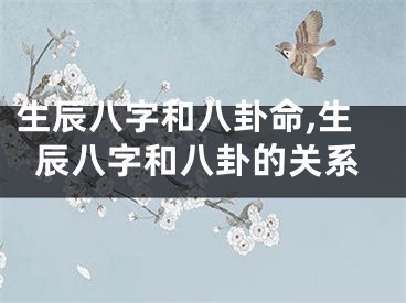 生辰八字和八卦命,生辰八字和八卦的关系
