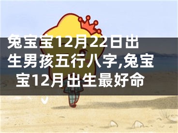 兔宝宝12月22日出生男孩五行八字,兔宝宝12月出生最好命