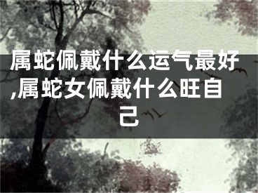 属蛇佩戴什么运气最好,属蛇女佩戴什么旺自己