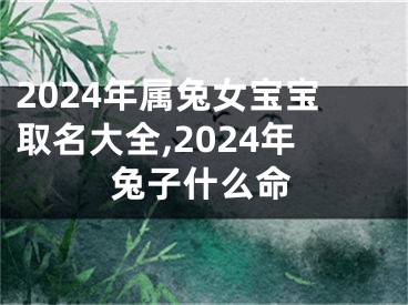 2024年属兔女宝宝取名大全,2024年兔子什么命