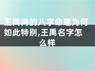 王禹冉的八字命理为何如此特别,王禹名字怎么样