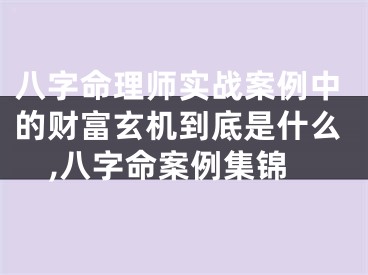八字命理师实战案例中的财富玄机到底是什么,八字命案例集锦