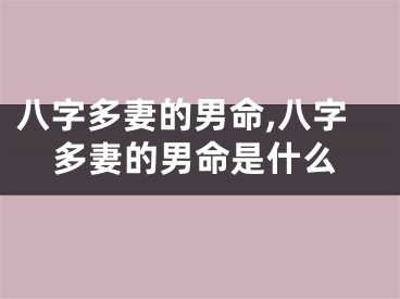 八字多妻的男命,八字多妻的男命是什么