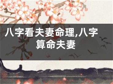 八字看夫妻命理,八字算命夫妻