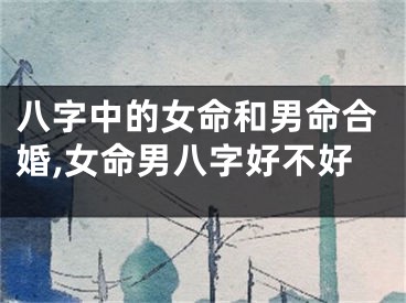八字中的女命和男命合婚,女命男八字好不好
