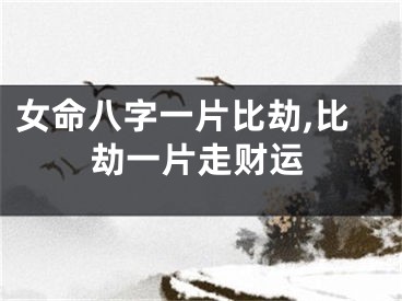 女命八字一片比劫,比劫一片走财运