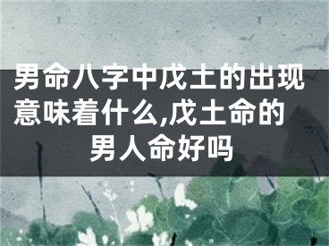 男命八字中戊土的出现意味着什么,戊土命的男人命好吗