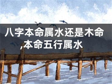 八字本命属水还是木命,本命五行属水