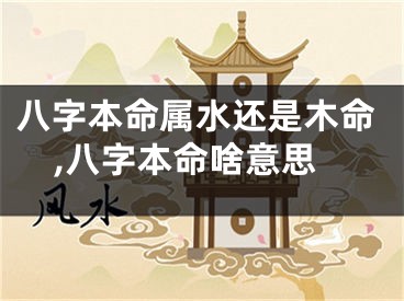 八字本命属水还是木命,八字本命啥意思