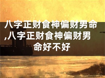 八字正财食神偏财男命,八字正财食神偏财男命好不好