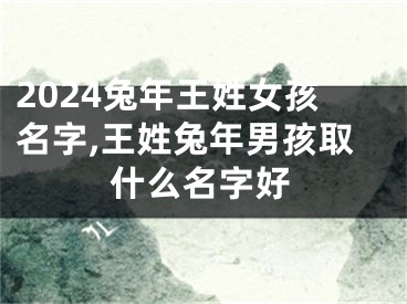 2024兔年王姓女孩名字,王姓兔年男孩取什么名字好