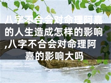 八字不合会对命理阿嘉的人生造成怎样的影响,八字不合会对命理阿嘉的影响大吗