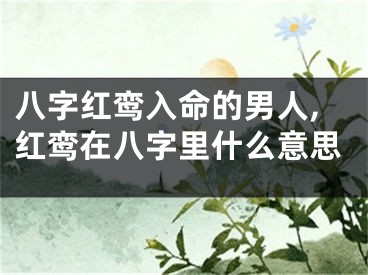 八字红鸾入命的男人,红鸾在八字里什么意思