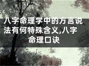 八字命理学中的方言说法有何特殊含义,八字命理口诀